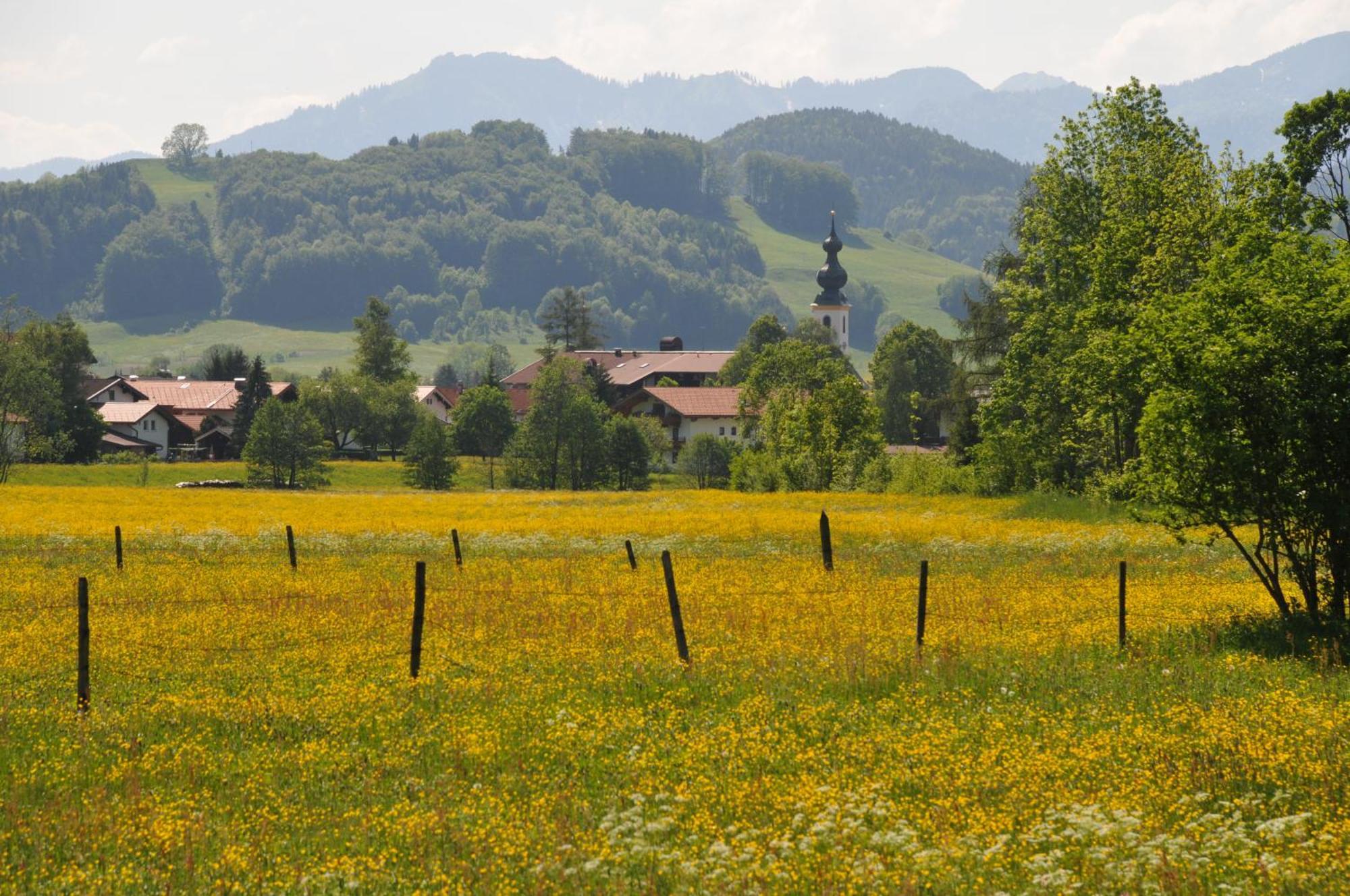 Ferienwohnungen Im Alpengaestehaus Marzoll - 바트라이셴할 외부 사진