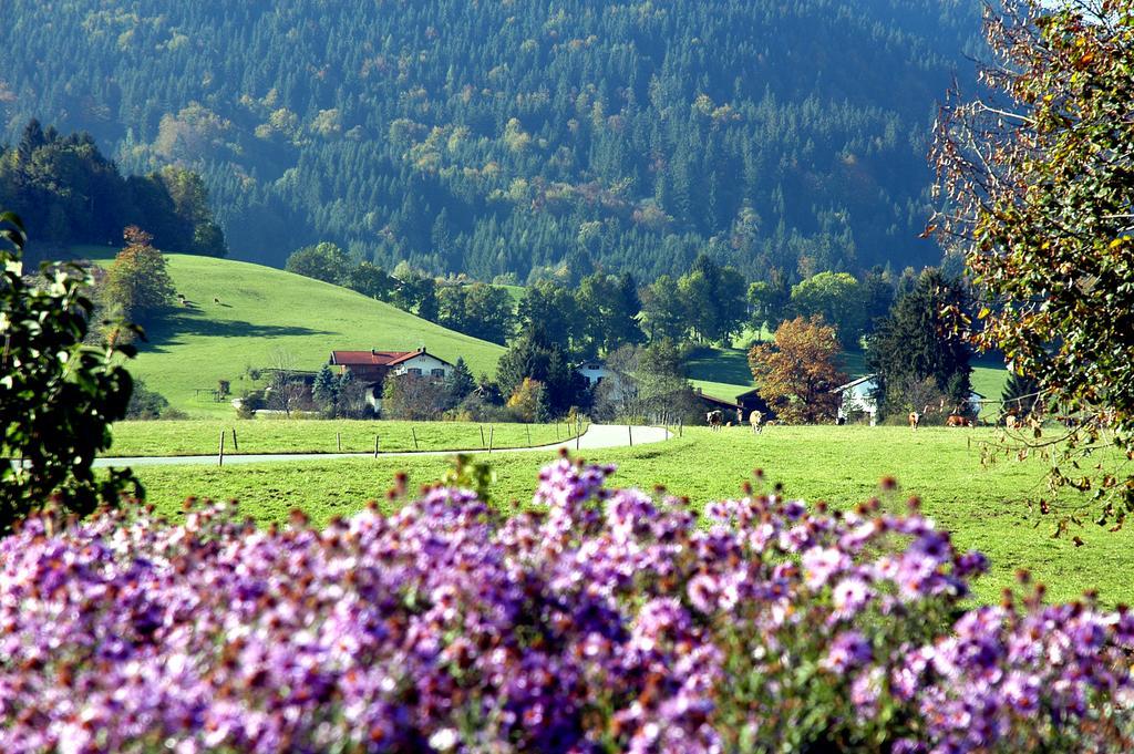 Ferienwohnungen Im Alpengaestehaus Marzoll - 바트라이셴할 외부 사진